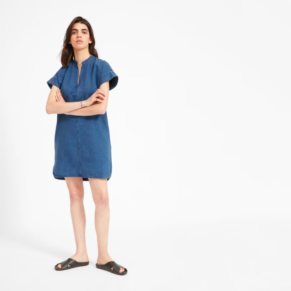 Everlane The Splitneck Jean Dress